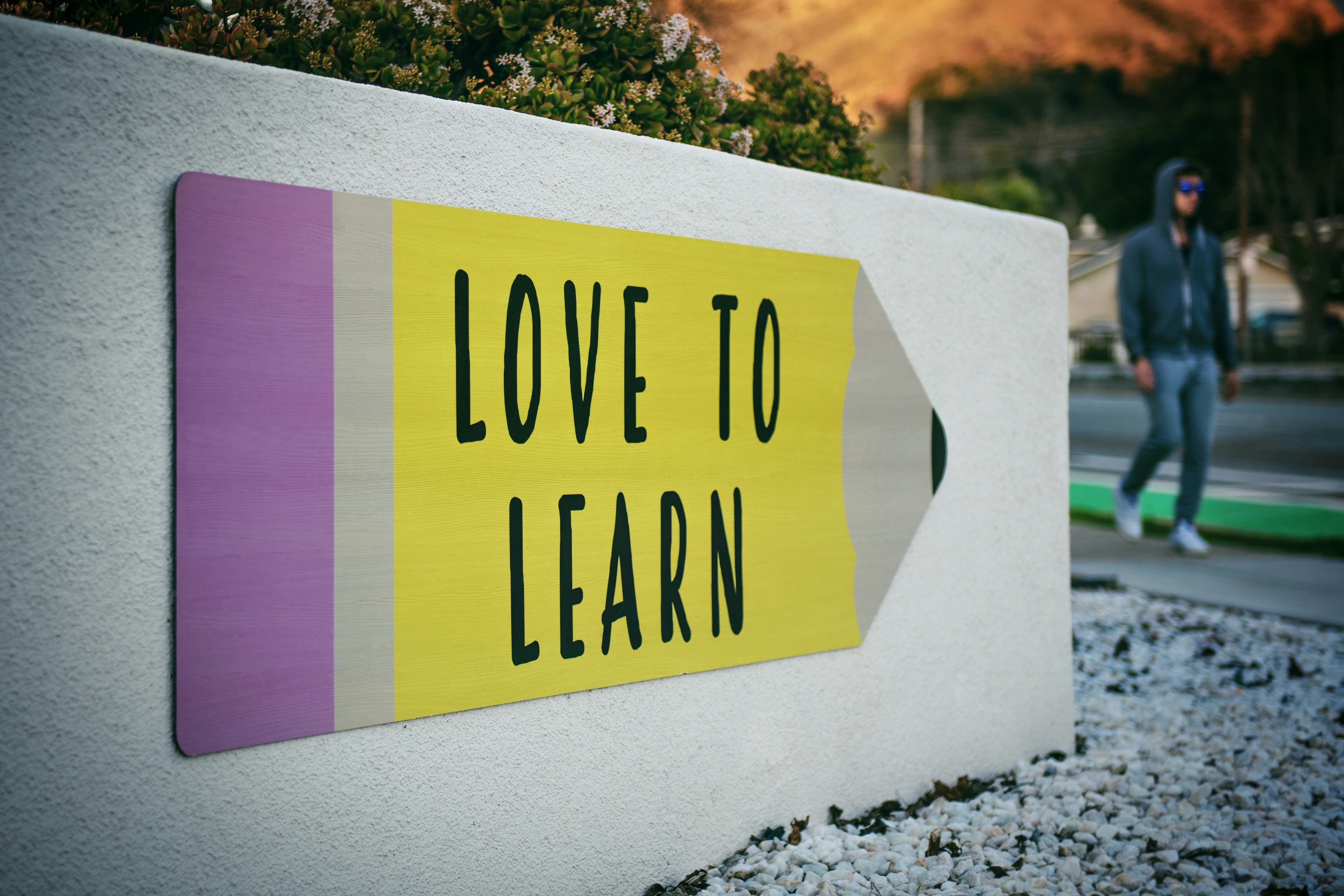 Mastering the Art of Learning Fast